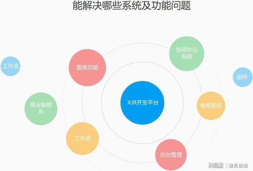 智能時代,快速開發(fā)平臺將成為主流軟件開發(fā)工具